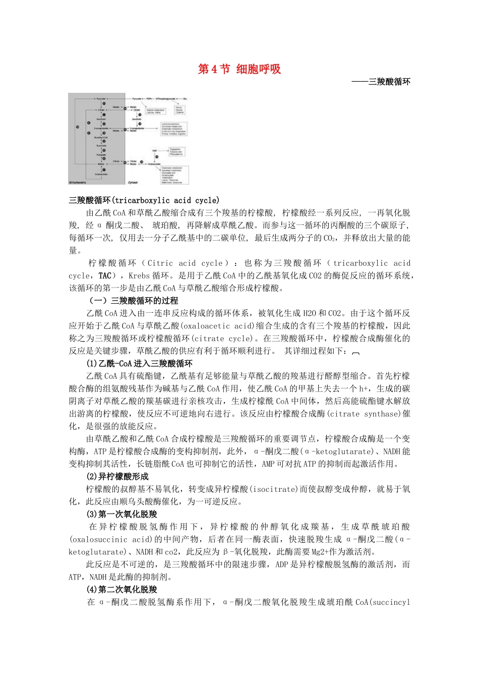 高中生物 第3章 细胞的代谢 3.4 细胞呼吸（1）素材 浙科版必修1-浙科版高一必修1生物素材_第1页