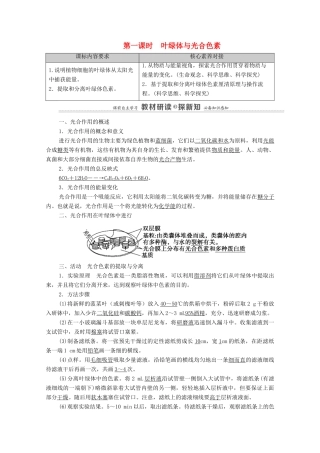 高中生物 第3章 细胞的代谢 第5节 第1课时 叶绿体与光合色素教案 浙科版必修第一册-浙科版高中第一册生物教案