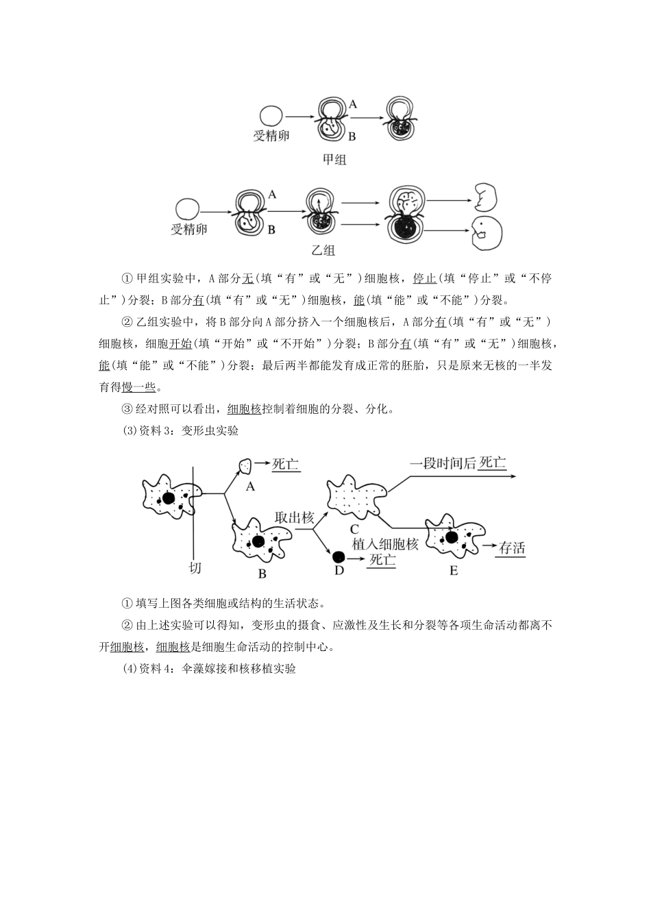 高中生物 第3章 细胞的基本结构 3-3 细胞核的结构和功能教学案 新人教版必修1-新人教版高一必修1生物教学案_第2页