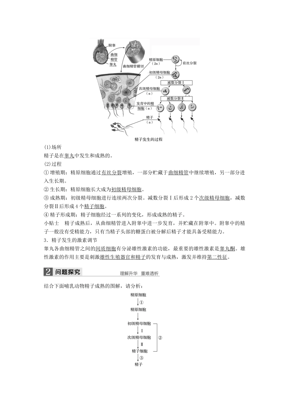 高中生物 第2章 胚胎工程 第1节 胚胎工程的理论基础 第1课时 生殖细胞的形成同步备课教学案 北师大版选修3-北师大版高二选修3生物教学案_第2页