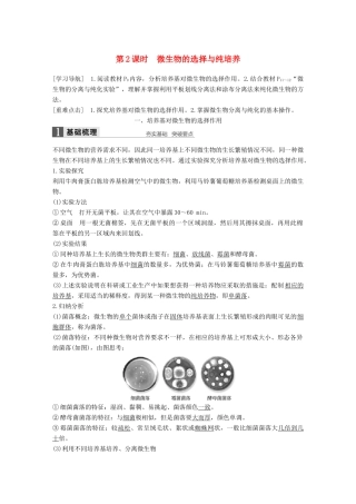 高中生物 第1章 微生物技术 第2课时 微生物的选择与纯培养同步备课教学案 北师大版选修1-北师大版高二选修1生物教学案