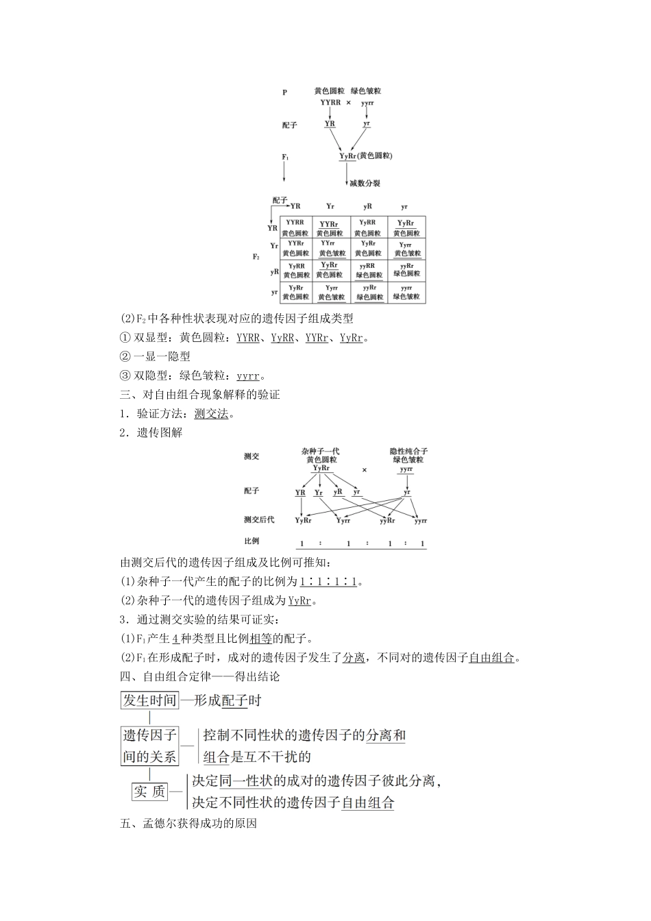 高中生物 第1章 遗传因子的发现 第2节 孟德尔的豌豆杂交实验（二）教学案 新人教版必修第二册-新人教版高一第二册生物教学案_第2页