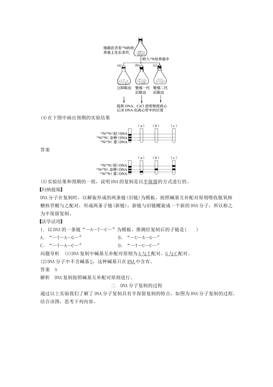 高中生物 第3章 遗传信息的复制与表达 第8课时 遗传信息的复制教学案 北师大版必修2-北师大版高一必修2生物教学案_第2页