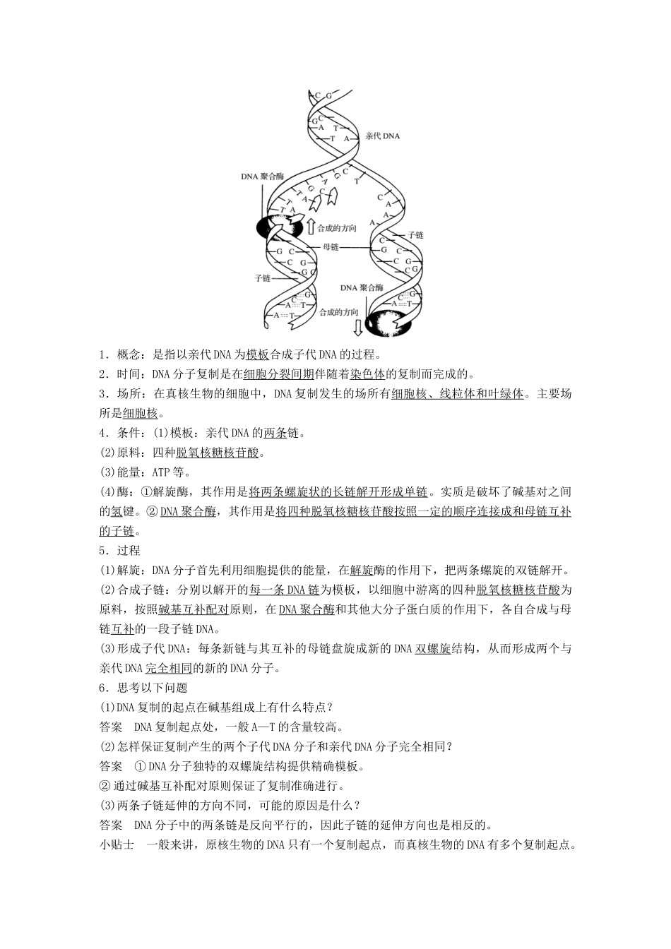 高中生物 第3章 遗传信息的复制与表达 第8课时 遗传信息的复制教学案 北师大版必修2-北师大版高一必修2生物教学案_第3页