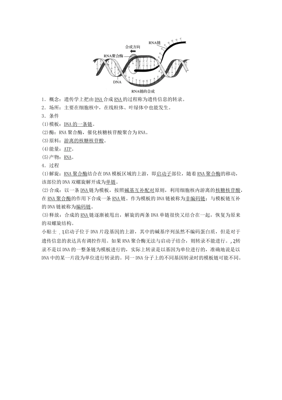 高中生物 第3章 遗传信息的复制与表达 第9课时 遗传信息的表达(Ⅰ)教学案 北师大版必修2-北师大版高一必修2生物教学案_第3页