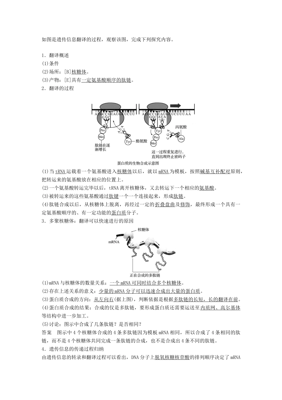 高中生物 第3章 遗传信息的复制与表达 第10课时 遗传信息的表达(Ⅱ)教学案 北师大版必修2-北师大版高一必修2生物教学案_第3页