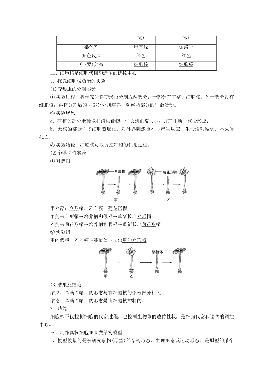高中生物 第2章 细胞的结构和生命活动 第2节 第3课时 遗传信息主要储存在细胞核中教案 苏教版必修1-苏教版高中必修1生物教案_第2页