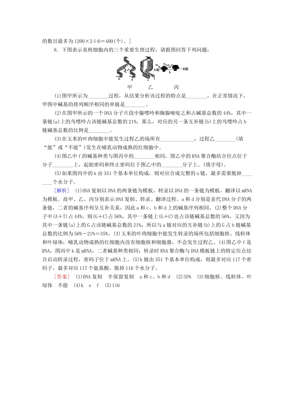 高中生物 第4章 基因的表达 素能提升课 基因表达过程中的相关计算教学案 新人教版必修第二册-新人教版高一第二册生物教学案_第3页