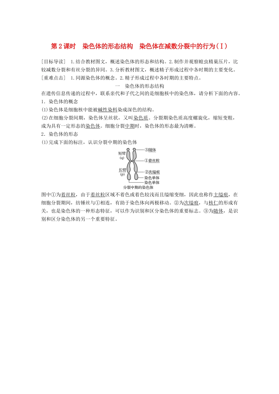 高中生物 第2章 遗传信息传递的结构基础 第2课时 染色体的形态结构 染色体在减数分裂中的行为(Ⅰ)教学案 北师大版必修2-北师大版高一必修2生物教学案_第1页