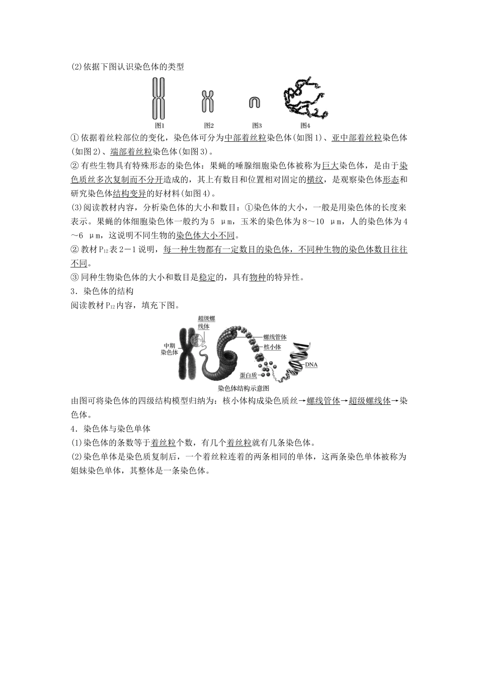 高中生物 第2章 遗传信息传递的结构基础 第2课时 染色体的形态结构 染色体在减数分裂中的行为(Ⅰ)教学案 北师大版必修2-北师大版高一必修2生物教学案_第2页