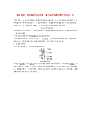 高中生物 第2章 遗传信息传递的结构基础 第2课时 染色体的形态结构 染色体在减数分裂中的行为(Ⅰ)教学案 北师大版必修2-北师大版高一必修2生物教学案