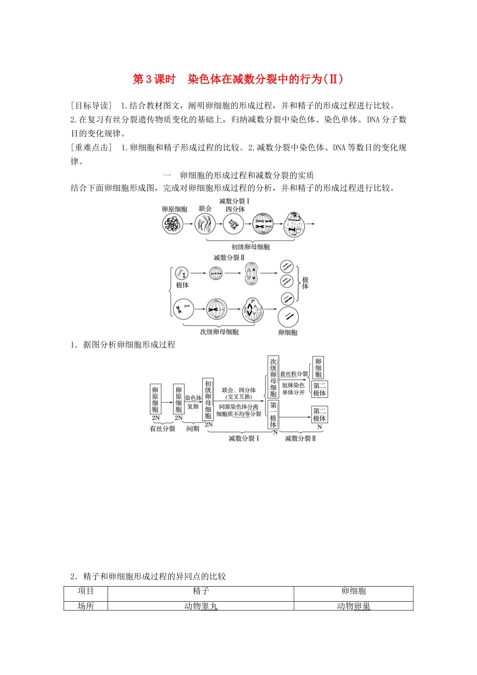 高中生物 第2章 遗传信息传递的结构基础 第3课时 染色体在减数分裂中的行为(Ⅱ)教学案 北师大版必修2-北师大版高一必修2生物教学案_第1页