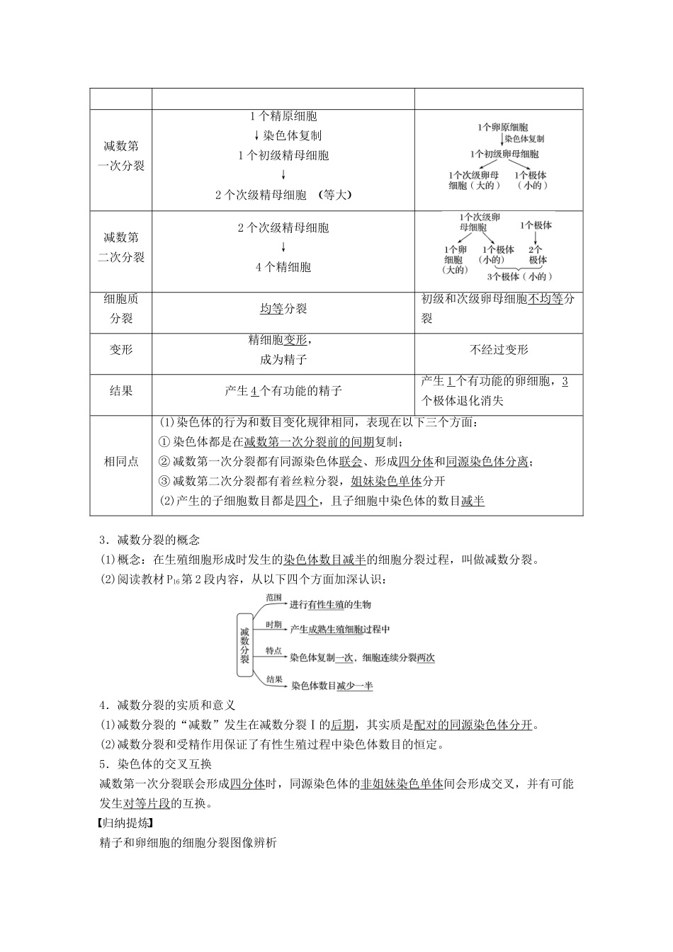 高中生物 第2章 遗传信息传递的结构基础 第3课时 染色体在减数分裂中的行为(Ⅱ)教学案 北师大版必修2-北师大版高一必修2生物教学案_第2页