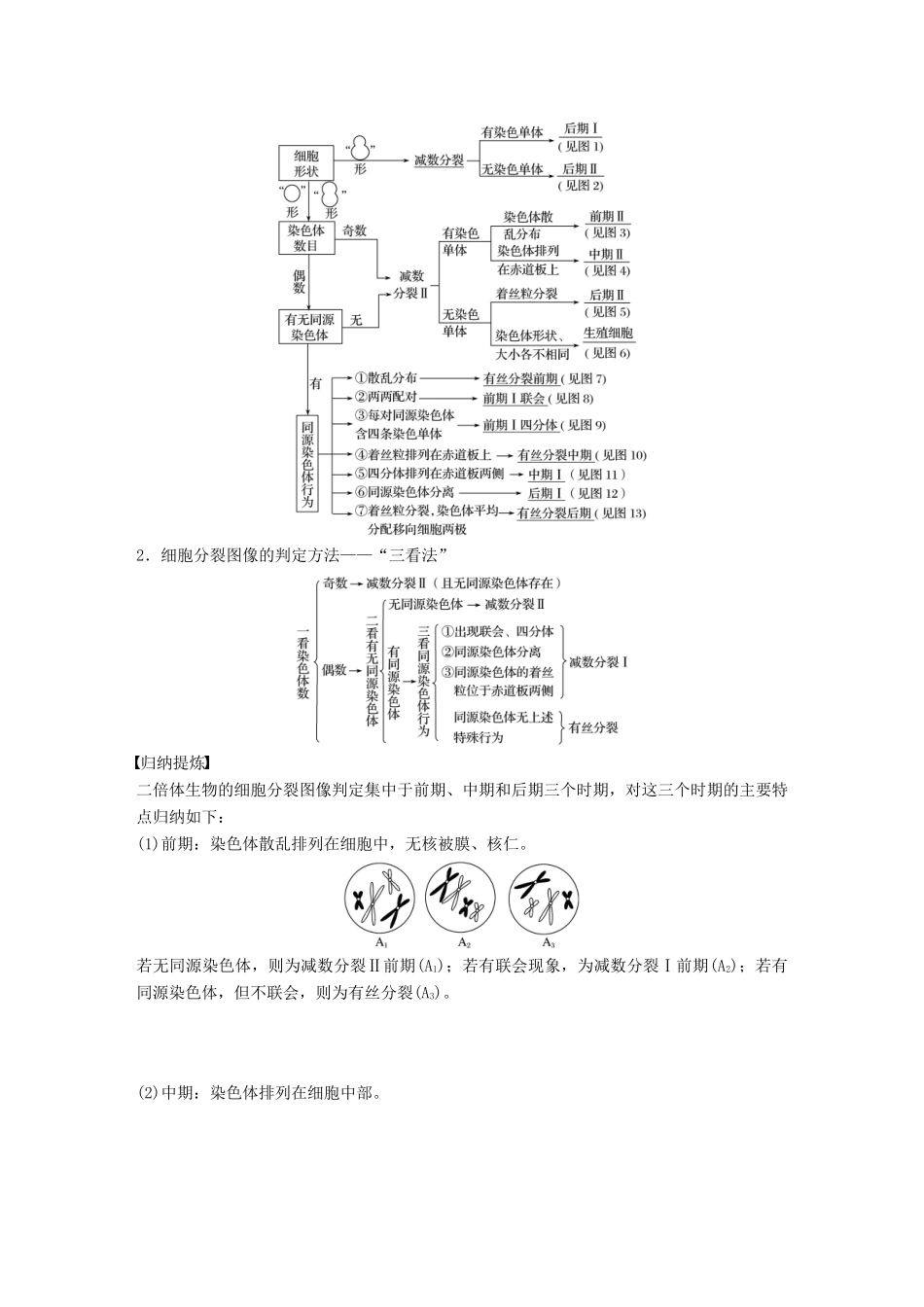 高中生物 第2章 遗传信息传递的结构基础 第4课时 染色体在减数分裂中的行为(Ⅲ)教学案 北师大版必修2-北师大版高一必修2生物教学案_第2页