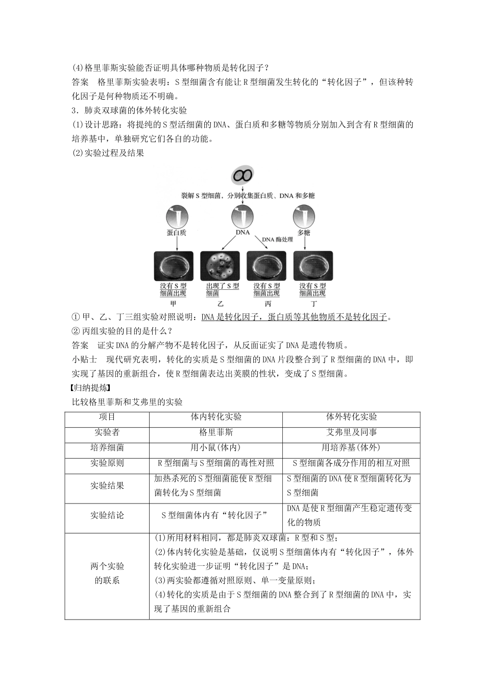 高中生物 第2章 遗传信息传递的结构基础 第5课时 DNA贮存遗传信息(Ⅰ)教学案 北师大版必修2-北师大版高一必修2生物教学案_第2页