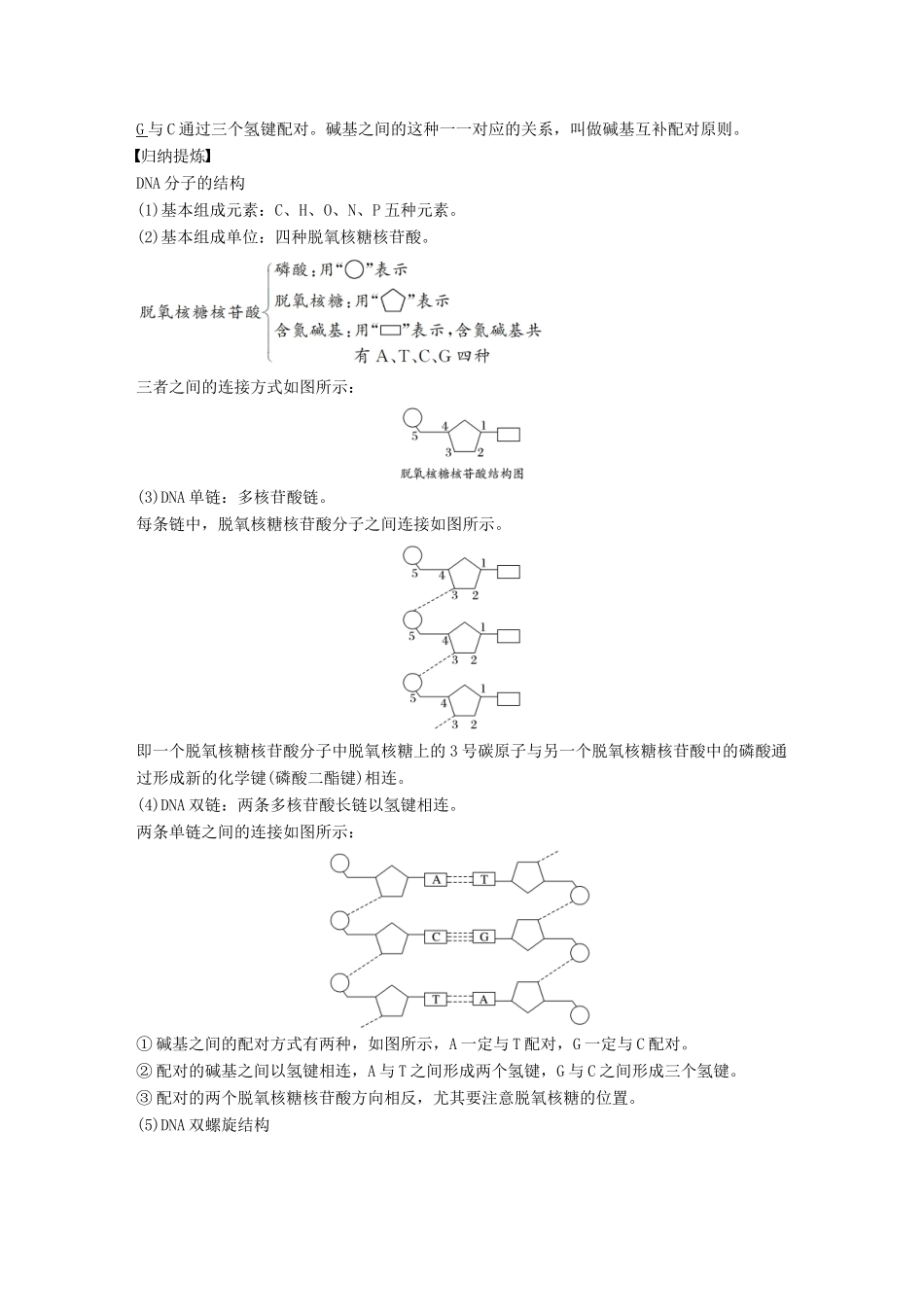 高中生物 第2章 遗传信息传递的结构基础 第6课时 DNA贮存遗传信息(Ⅱ)教学案 北师大版必修2-北师大版高一必修2生物教学案_第3页