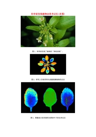 高中生物 科学家发现植物会思考记忆素材