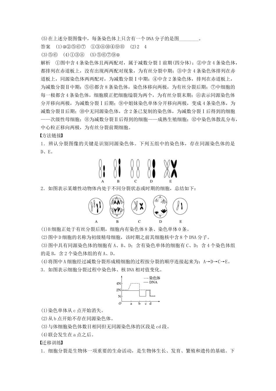 高中生物 第2章 遗传信息传递的结构基础章末整合教学案 北师大版必修2-北师大版高一必修2生物教学案_第2页