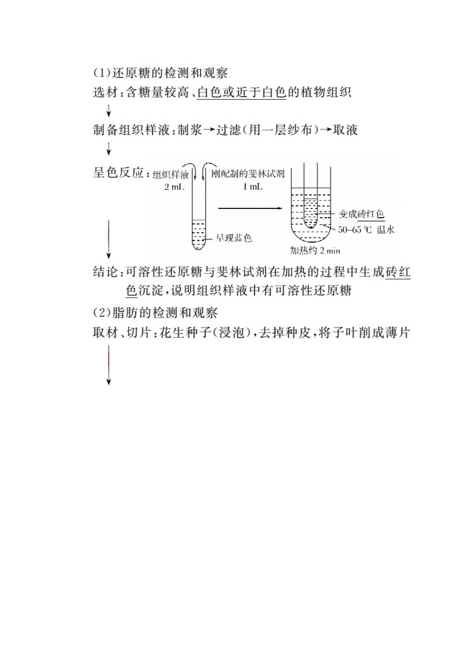 高中生物 第2章 组成细胞的分子 2-1 细胞中的元素和化合物教学案 新人教版必修1-新人教版高一必修1生物教学案_第3页
