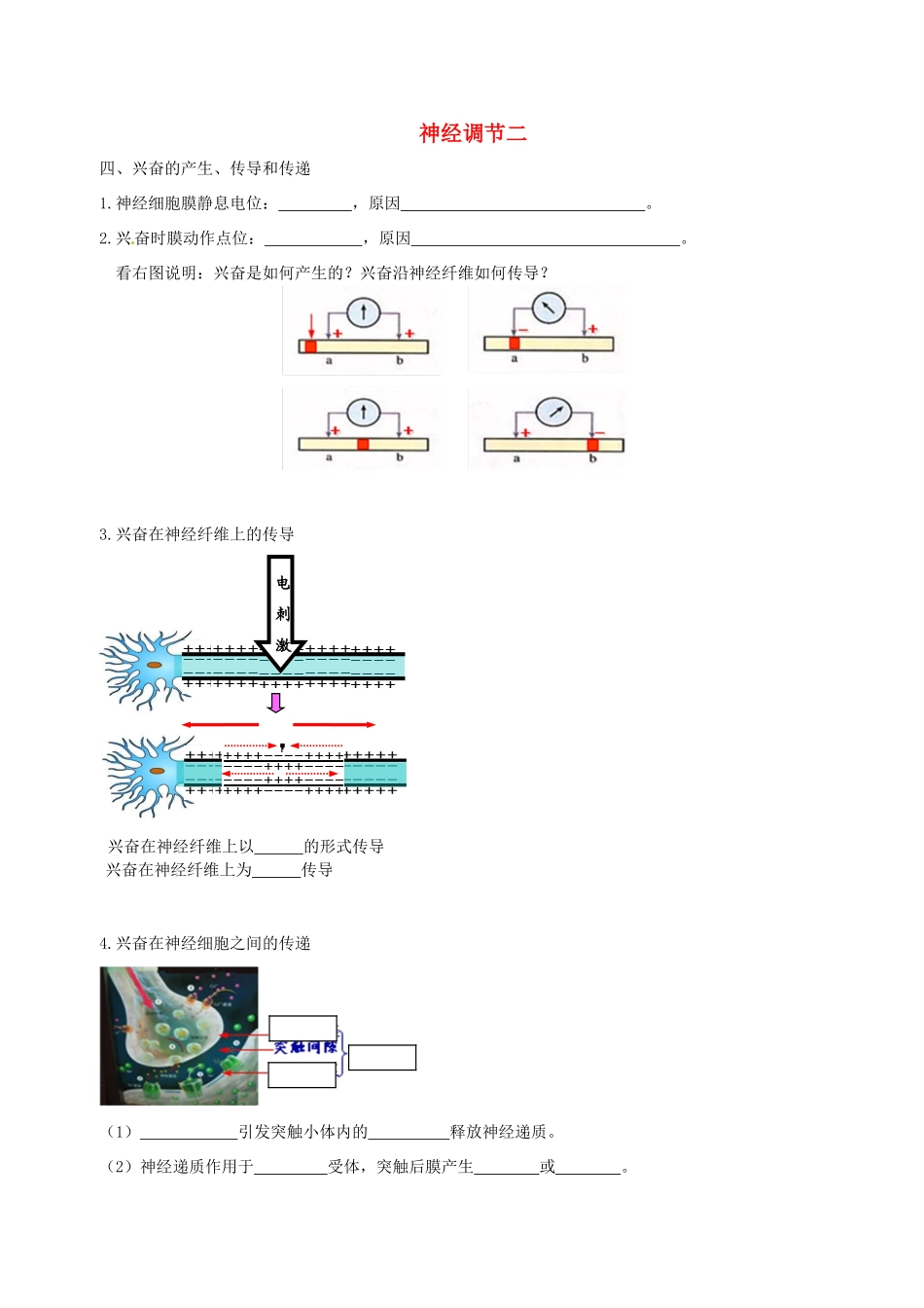 高中生物 神经调节（二）素材 新人教版必修3-新人教版高二必修3生物素材_第1页