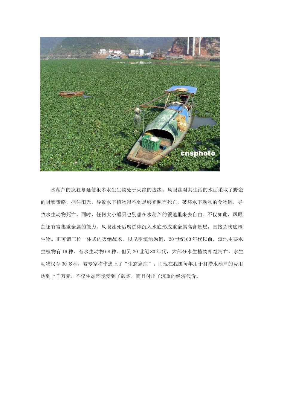 高中生物 第4章 生物科学与环境保护 4.1 生物性污染及其预防素材 新人教版选修2-新人教版高二选修2生物素材_第2页