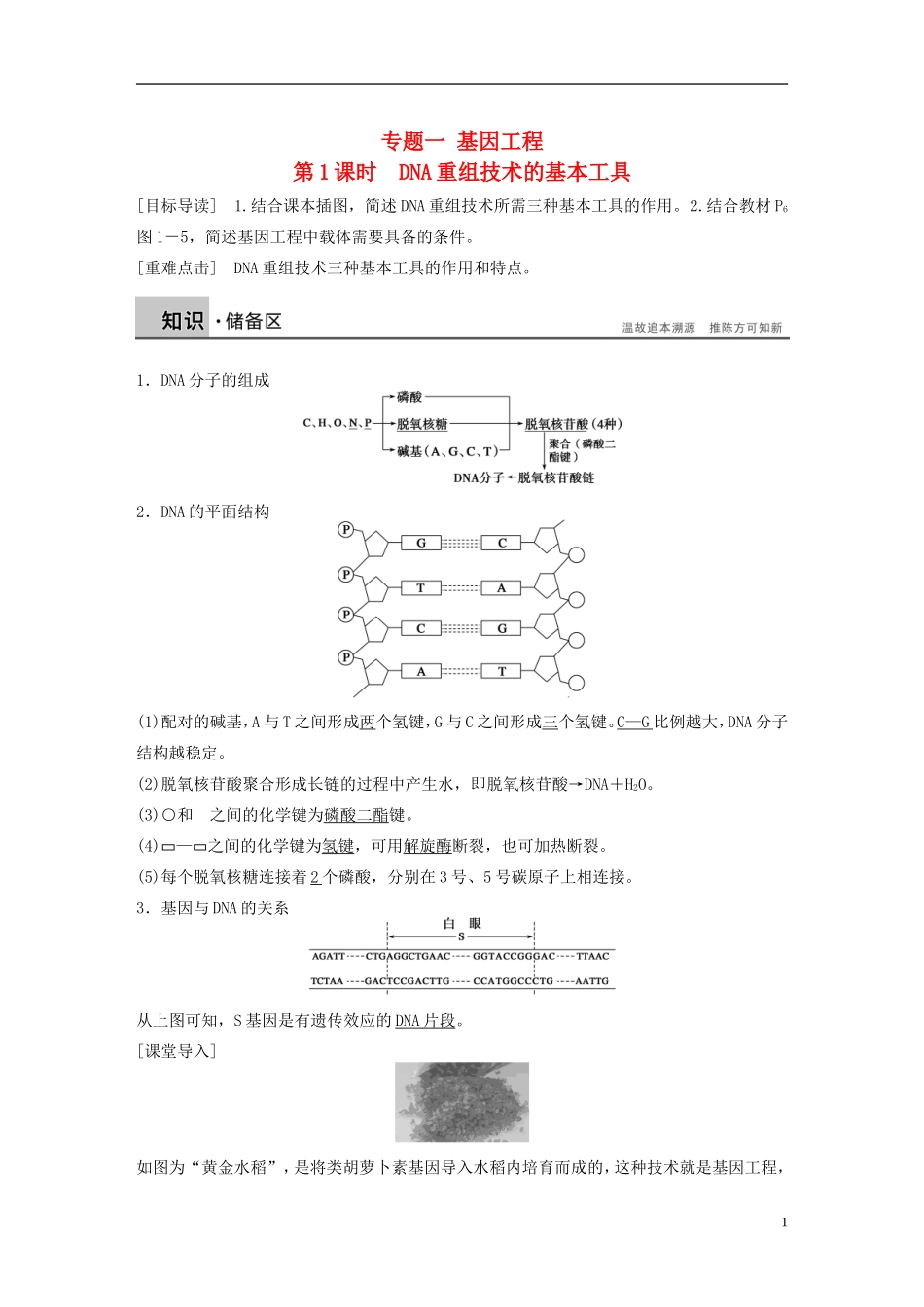 高中生物 专题一 基因工程 第1课时 DNA重组技术的基本工具学案 新人教版选修3-新人教版高二选修3生物学案_第1页