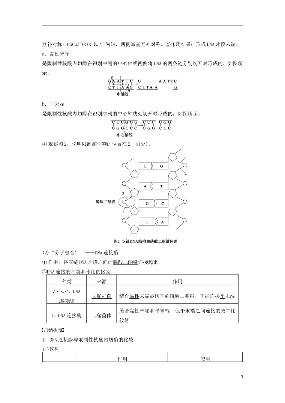 高中生物 专题一 基因工程 第1课时 DNA重组技术的基本工具学案 新人教版选修3-新人教版高二选修3生物学案_第3页