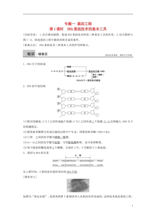 高中生物 专题一 基因工程 第1课时 DNA重组技术的基本工具学案 新人教版选修3-新人教版高二选修3生物学案