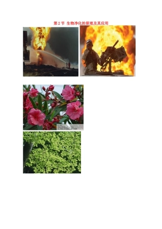 高中生物 第4章 生物科学与环境保护 4.2 生物净化的原理及其应用素材 新人教版选修2-新人教版高二选修2生物素材