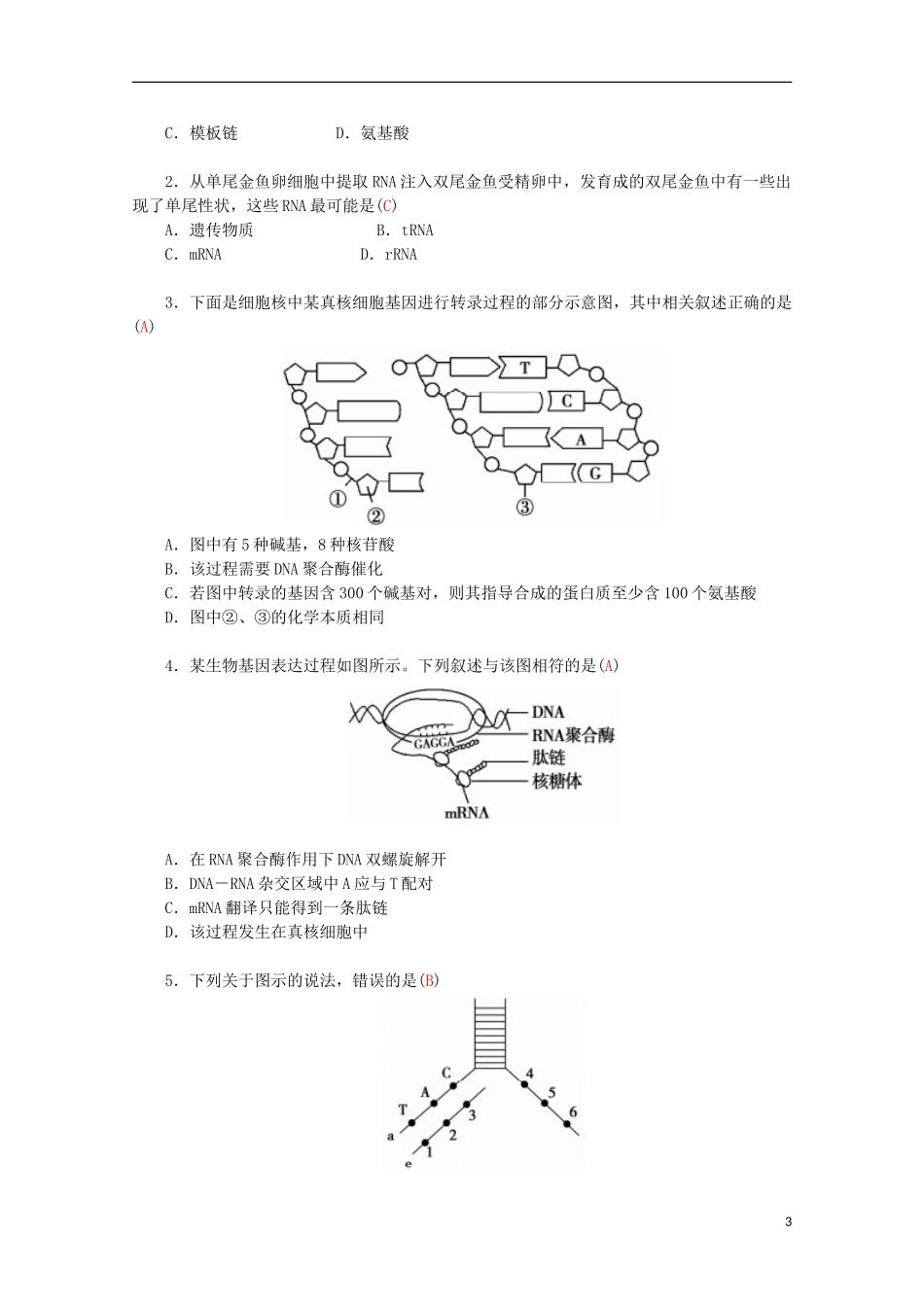 高中生物 第4章 第1节 基因指导蛋白质的合成学案 新人教版必修2-新人教版高一必修2生物学案_第3页