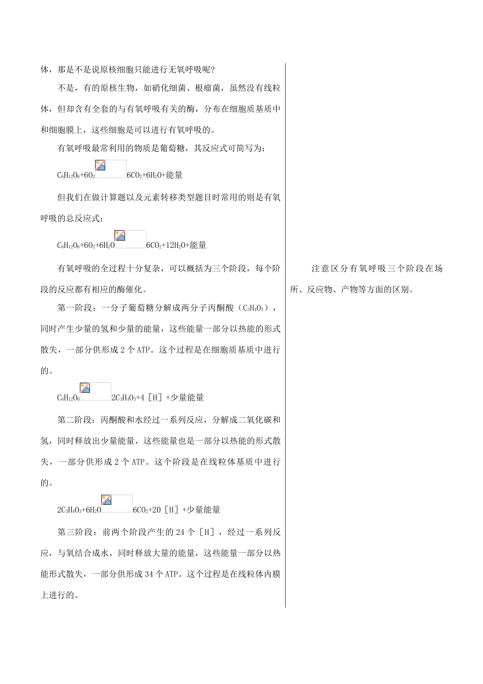 高中生物 章节知识要点 ATP的主要来源——细胞呼吸素材 新人教版必修1_第3页