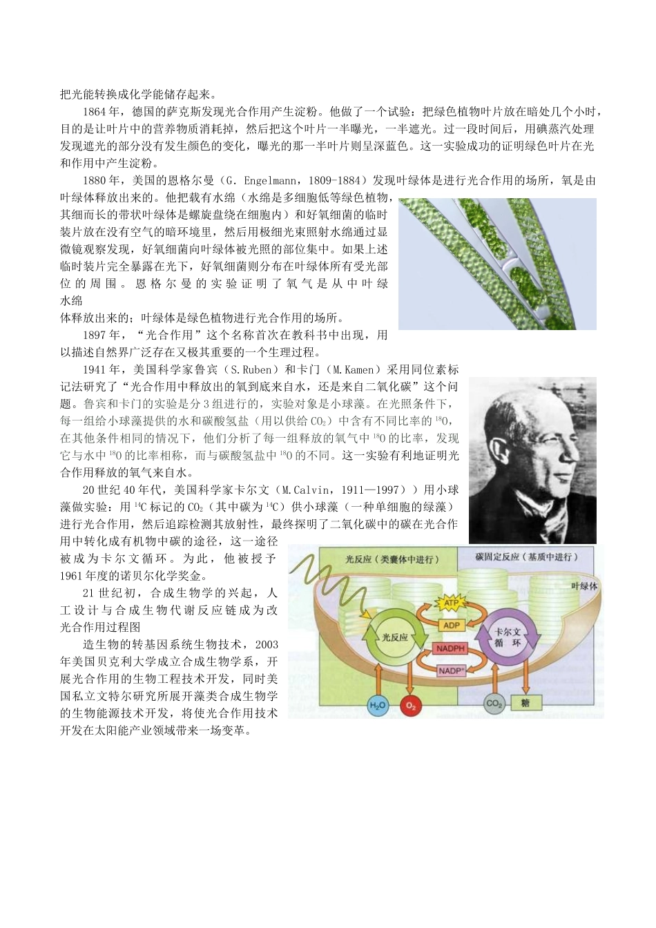 高中生物 光合作用的发现历程教学随笔 新人教版必修1-新人教版高一必修1生物素材_第2页