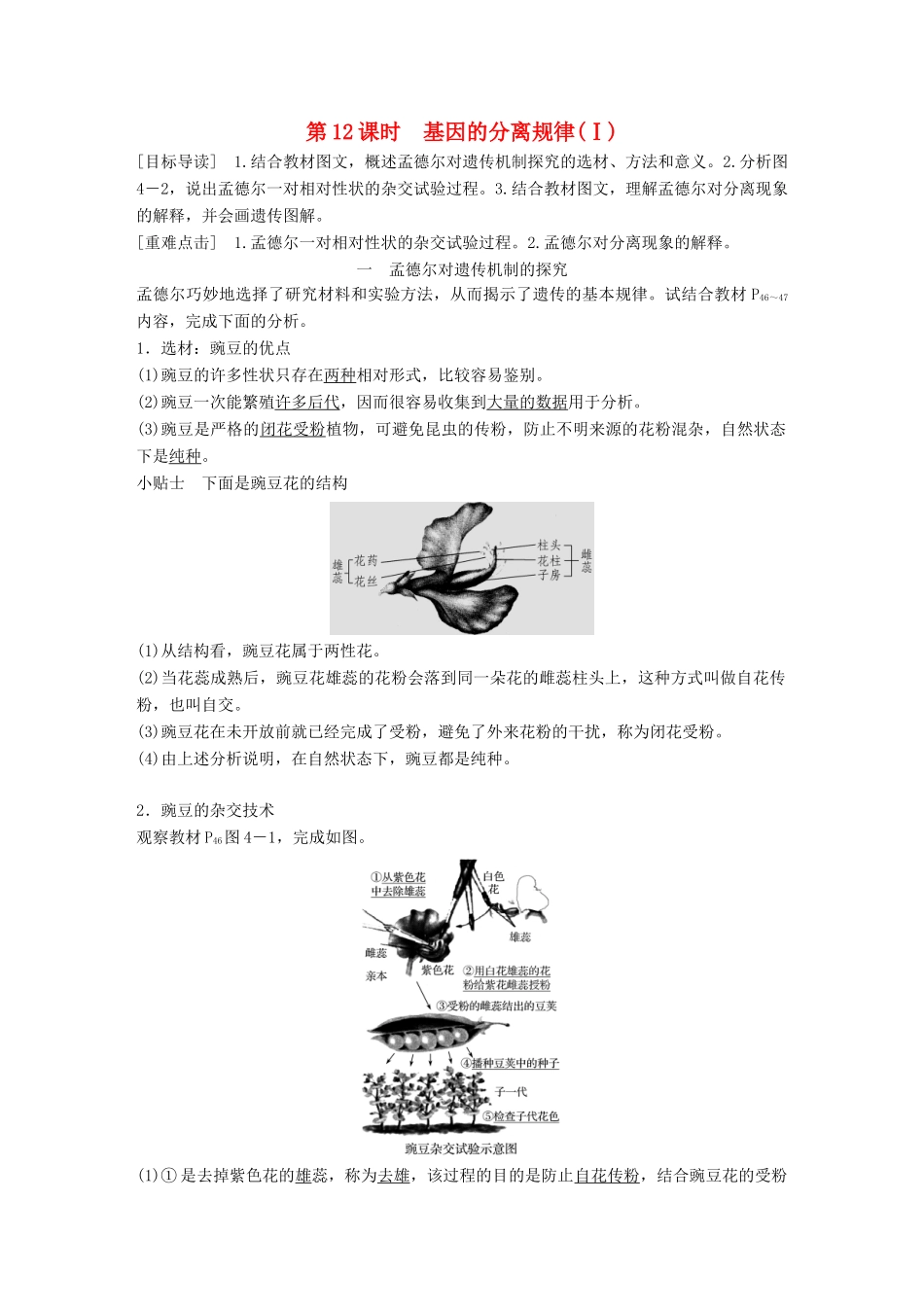 高中生物 第4章 遗传信息的传递规律 第12课时 基因的分离规律(Ⅰ)教学案 北师大版必修2-北师大版高一必修2生物教学案_第1页