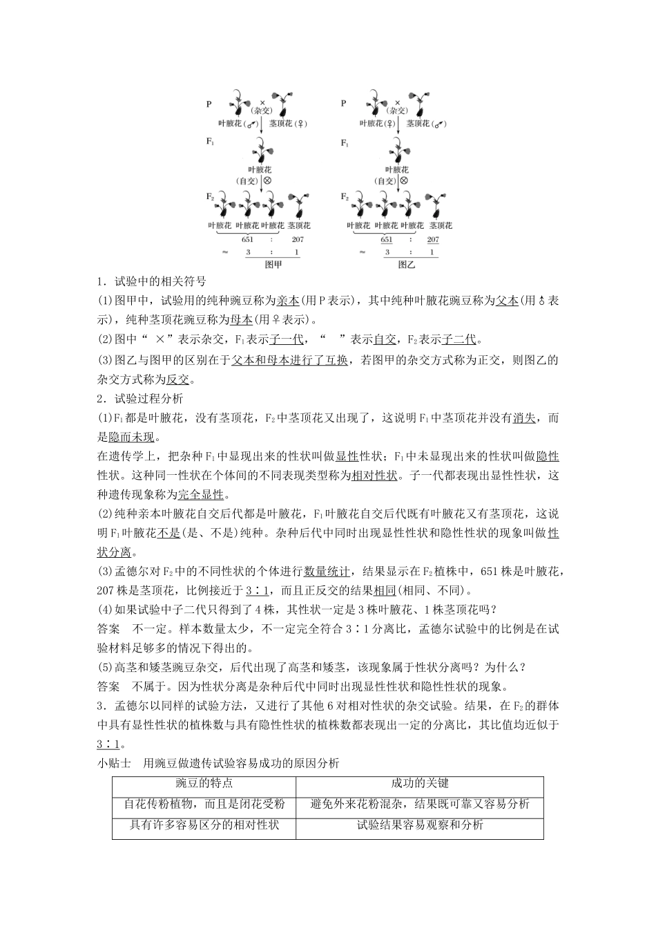 高中生物 第4章 遗传信息的传递规律 第12课时 基因的分离规律(Ⅰ)教学案 北师大版必修2-北师大版高一必修2生物教学案_第3页