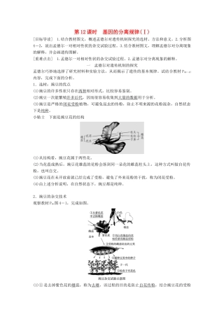 高中生物 第4章 遗传信息的传递规律 第12课时 基因的分离规律(Ⅰ)教学案 北师大版必修2-北师大版高一必修2生物教学案