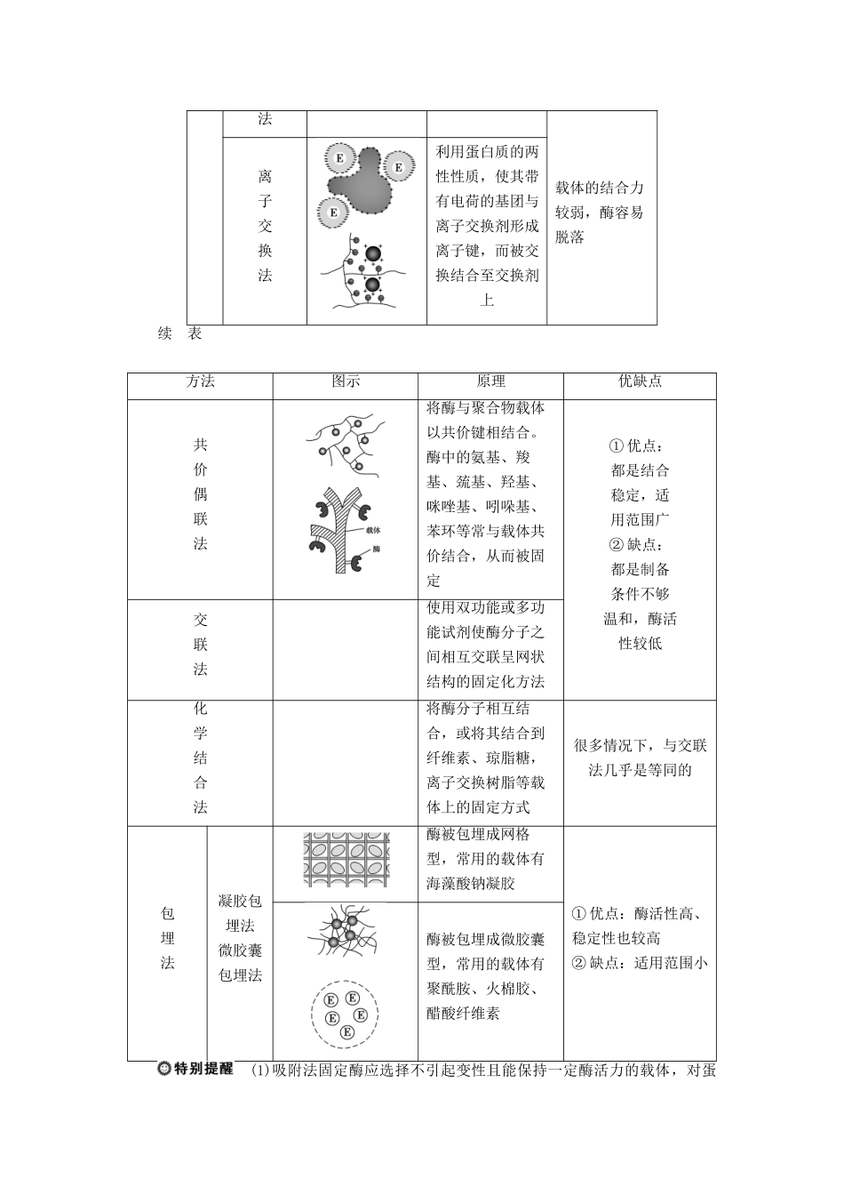 高中生物 第二部分 酶的应用 实验5 加酶洗衣粉的使用条件和效果（略） 实验6 淀粉酶的固定化及淀粉水解作用的检测学案 浙科版选修1-浙科版高二选修1生物学案_第3页