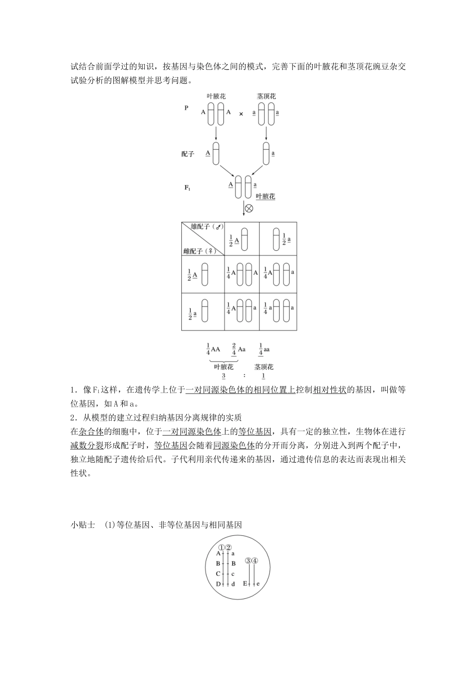 高中生物 第4章 遗传信息的传递规律 第13课时 基因的分离规律(Ⅱ)教学案 北师大版必修2-北师大版高一必修2生物教学案_第3页