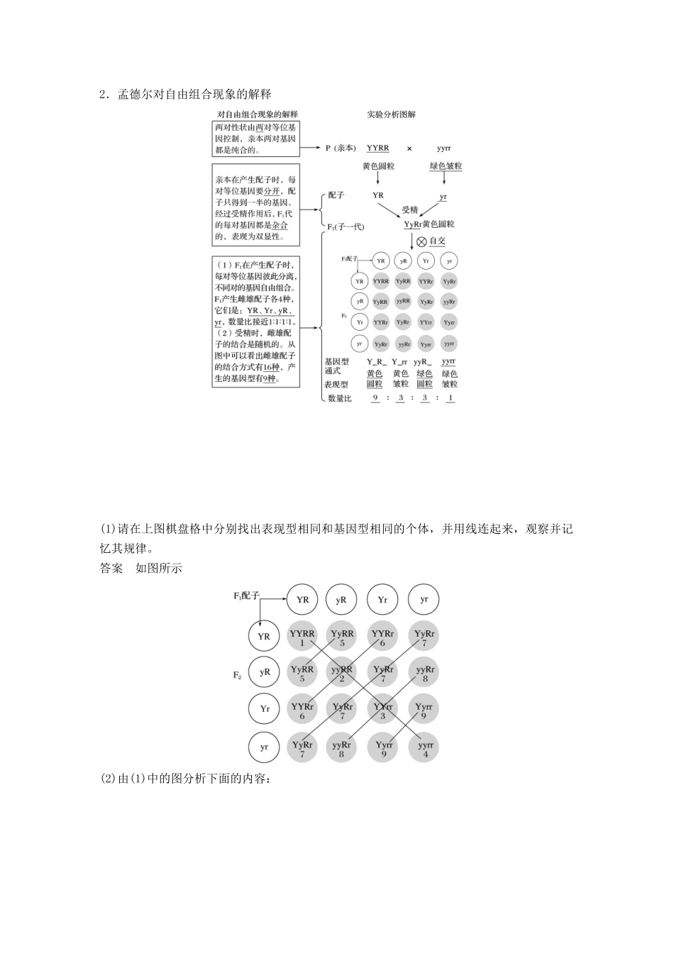 高中生物 第4章 遗传信息的传递规律 第15课时 基因的自由组合规律(Ⅰ)教学案 北师大版必修2-北师大版高一必修2生物教学案_第3页