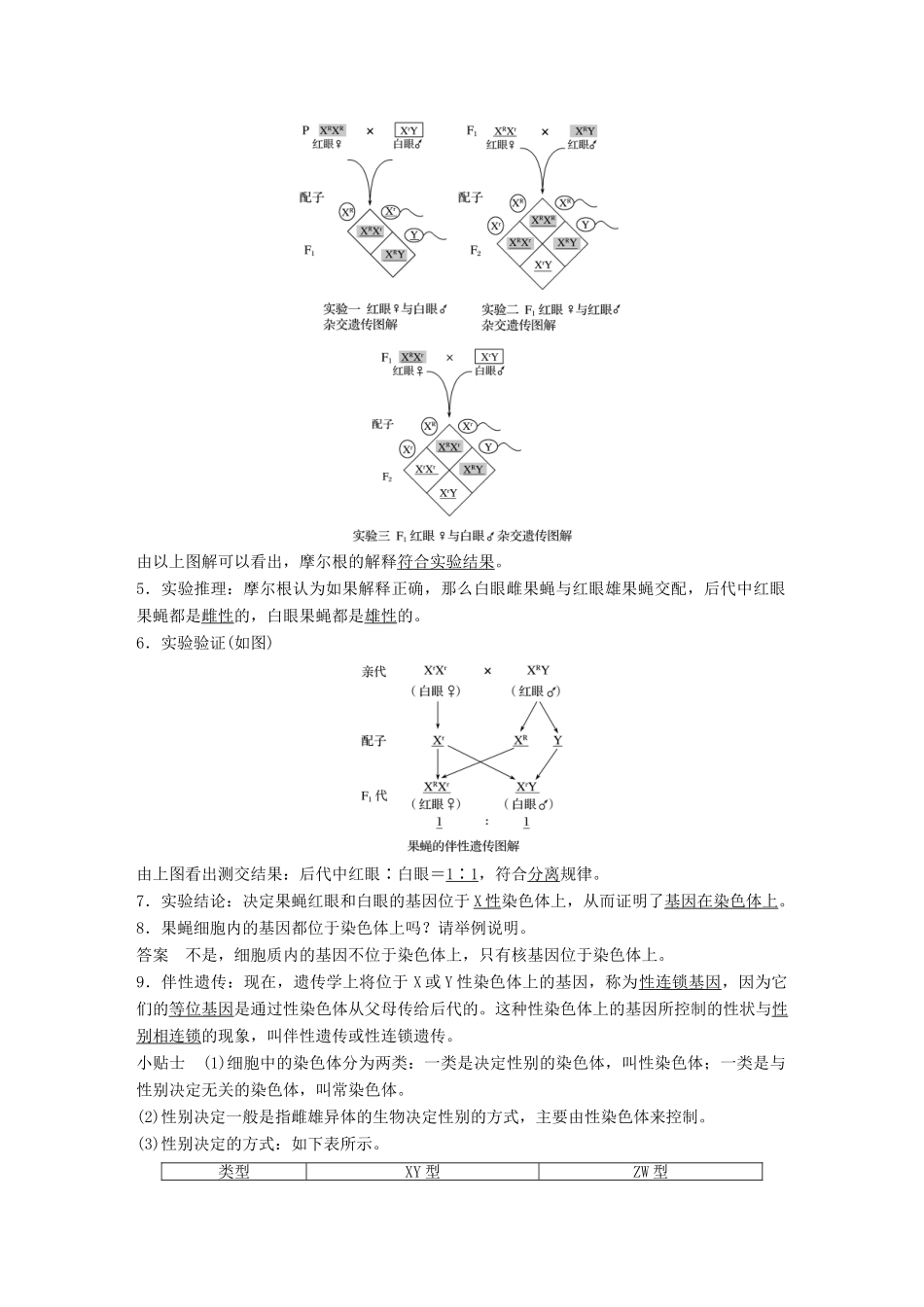 高中生物 第4章 遗传信息的传递规律 第17课时 果蝇的伴性遗传教学案 北师大版必修2-北师大版高一必修2生物教学案_第2页