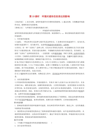 高中生物 第4章 遗传信息的传递规律 第19课时 环境对遗传信息表达的影响教学案 北师大版必修2-北师大版高一必修2生物教学案