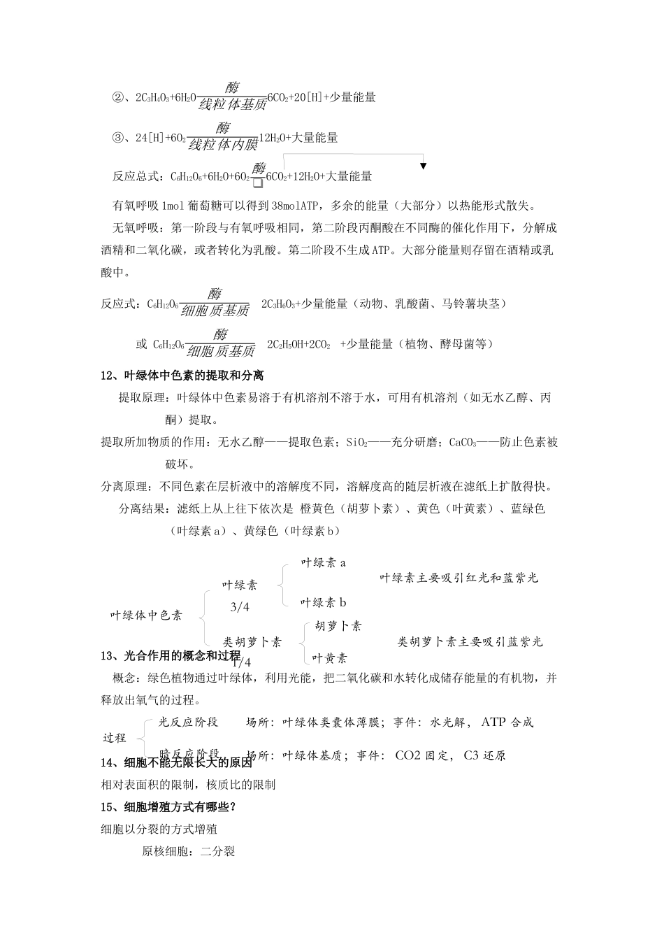 高中生物 基础知识记忆要点（二）（必修1）-人教版高中必修1生物素材_第3页