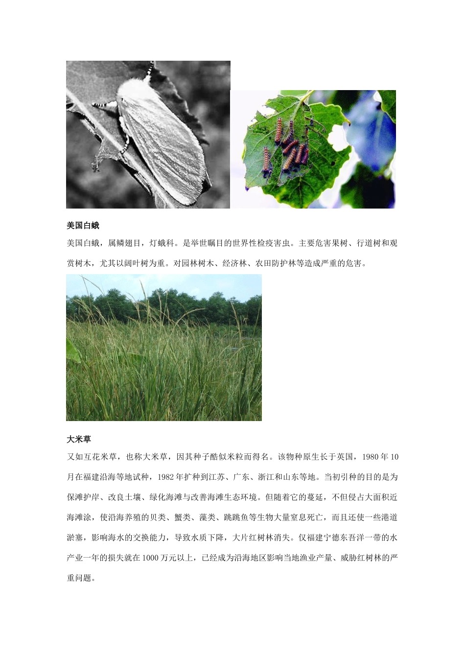 高中生物 第二单元 生物科学与环境保护 第一章 生物污染与生物净化 2.1.1 生物性污染（1）素材 中图版选修2-中图版高二选修2生物素材_第3页