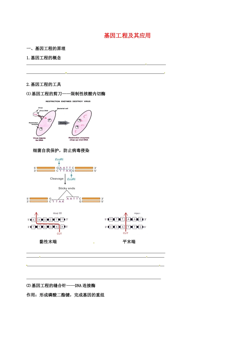 高中生物 基因工程及其应用素材 新人教版必修2-新人教版高一必修2生物素材_第1页
