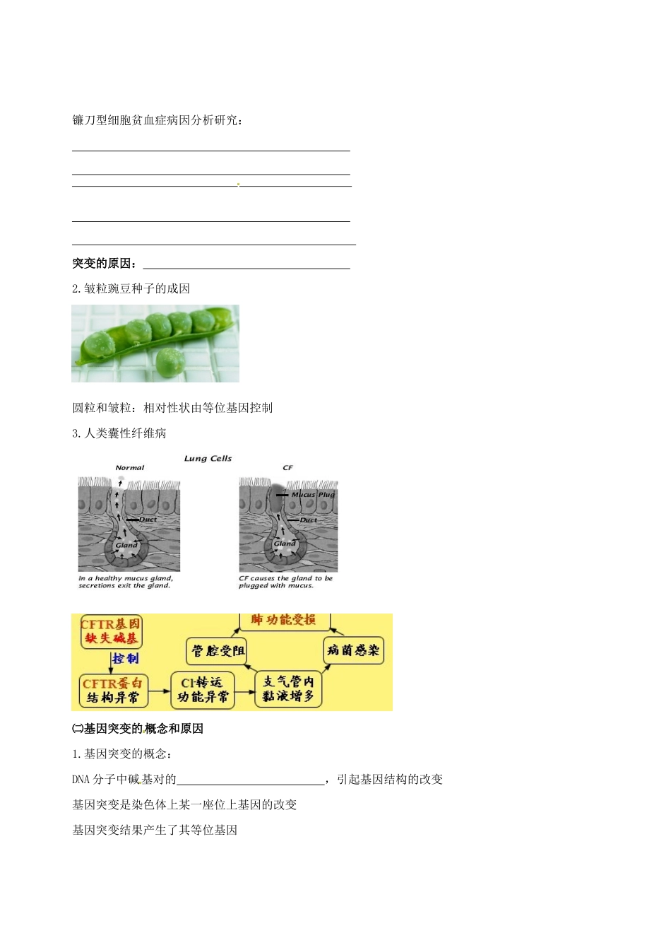 高中生物 基因突变和基因重组素材 新人教版必修2-新人教版高一必修2生物素材_第2页