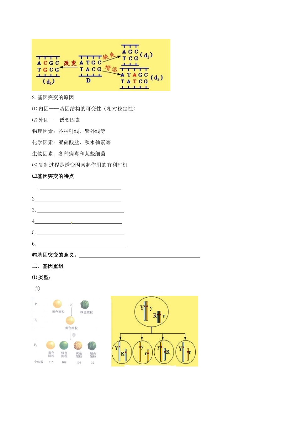 高中生物 基因突变和基因重组素材 新人教版必修2-新人教版高一必修2生物素材_第3页