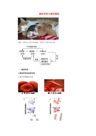 高中生物 基因突变和基因重组素材 新人教版必修2-新人教版高一必修2生物素材