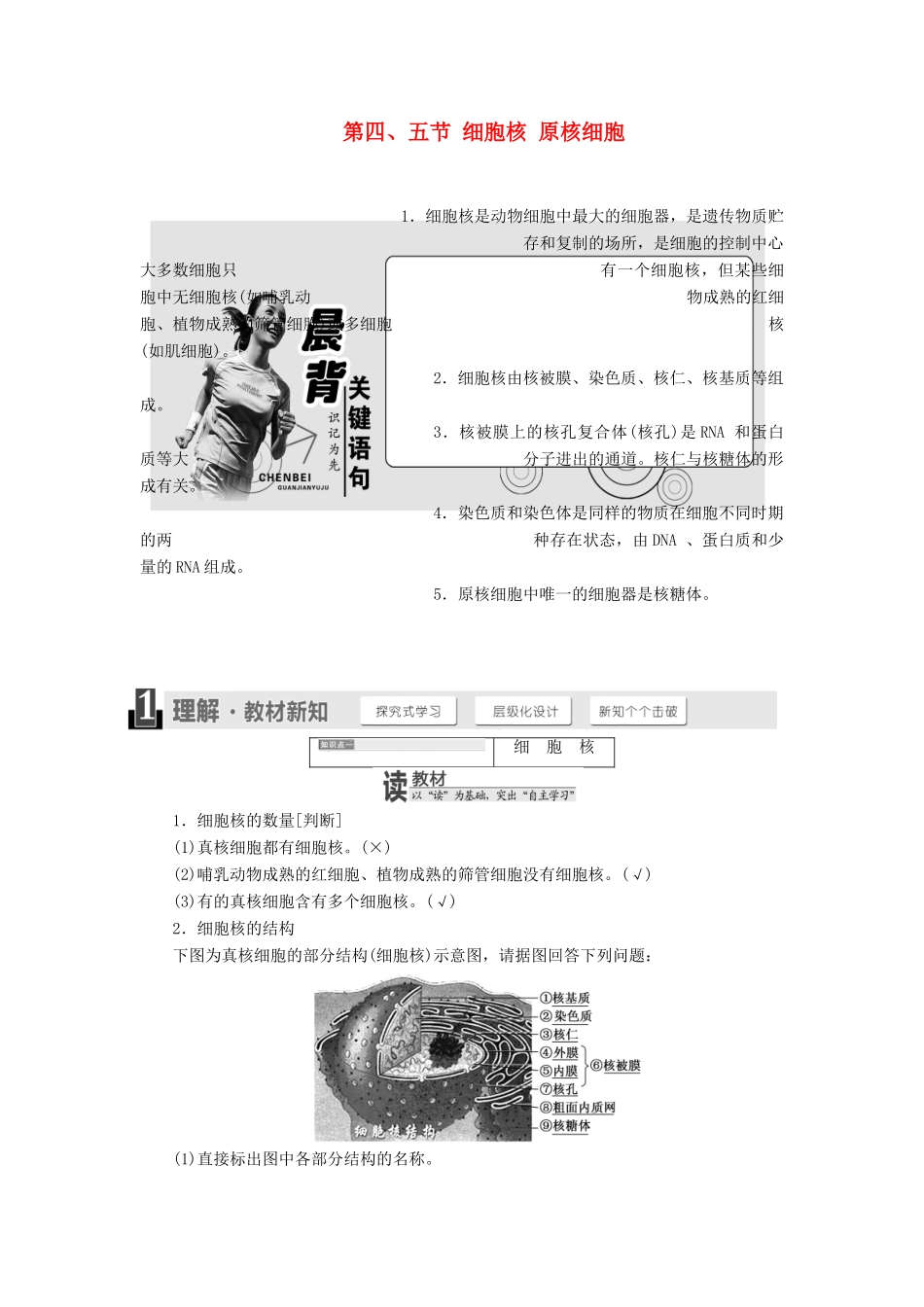 高中生物 第二章 第四、五节 细胞核 原核细胞教学案 浙科版必修1-浙科版高中必修1生物教学案_第1页
