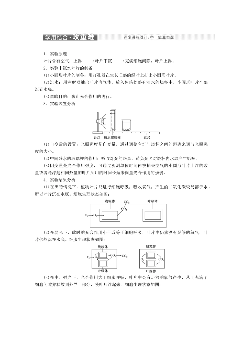 高中生物 第5章 第4节 第3课时 影响光合作用的因素和化能合成教学案（含解析）新人教版必修1-新人教版高一必修1生物教学案_第3页