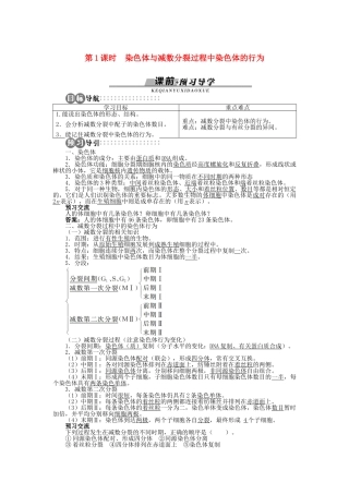 高中生物 第二章 第一节 减数分裂中的染色体行为 第一课时学案 浙科版必修2-浙科版高中必修2生物学案