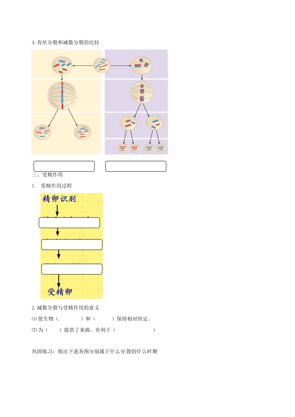 高中生物 减数分裂和受精作（二）素材 新人教版必修2-新人教版高一必修2生物素材_第2页